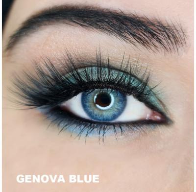 lensoptik genova-blue1-1020x1000.jpeg